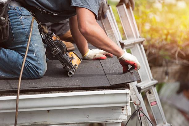 Professional Roofing Contractor in Chula Vista, TX